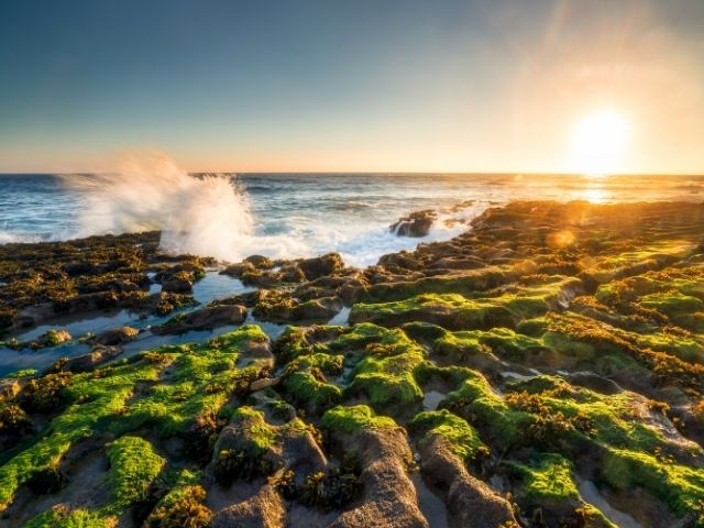 Rocky shore at Praia da Empa in Ericeira
