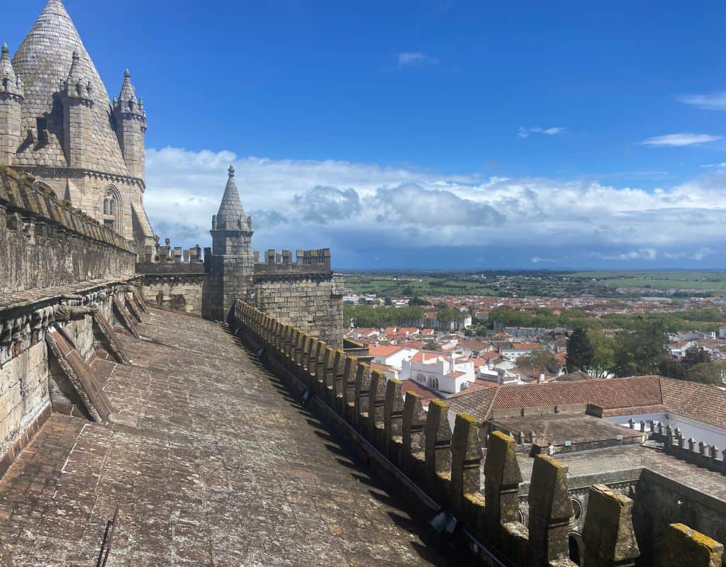 The incredible view from the top of the Evora's cathedral roof.