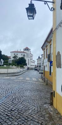 Evora's center along the main road on a cloudy day.