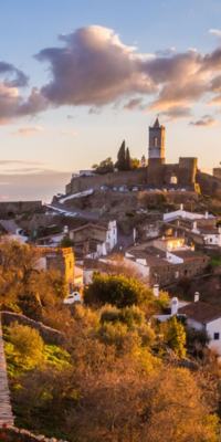 Monsaraz with its castle and towers, as seen from outside the village.