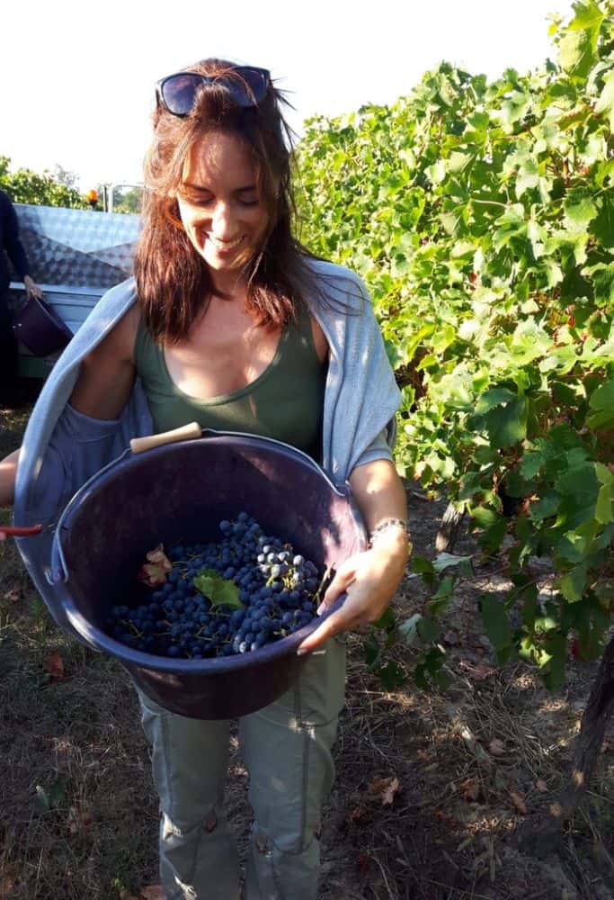 Michelle stands in a vineyard, smiling while holding a large bucket filled with freshly picked purple grapes. The bright sunlight casts shadows on the vines, highlighting the lush green leaves around her. Grape harvesting is so much fun!