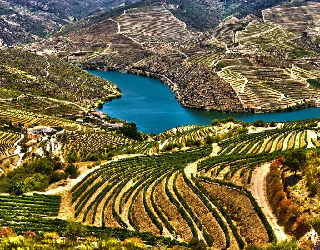 The Douro River snakes through terraced vineyards under a clear blue sky. This is what we see on the train from Porto to the Douro Valley. The scene captures the breathtaking beauty of the Douro Valley, famed for its wine production