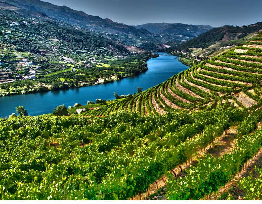 A sweeping landscape of Portugal's Douro Valley, known for its terraced vineyards and winding river. Interesting facts 